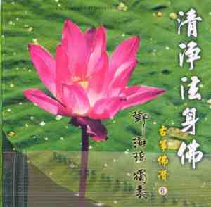 PT-PTCD-072 清淨法身佛