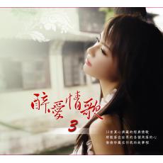 XY-DSD-888-05 醉愛情歌-VOL-3