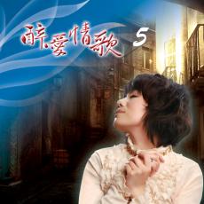 XY-DSD-888-11 醉愛情歌